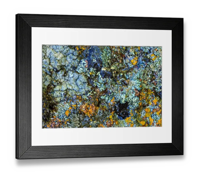 Framed Print : Large naturally polished rock with lichen, Lower Deschutes River, Central Oregon, USA