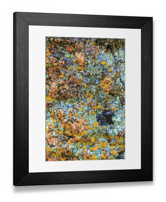 Framed Print : Large naturally polished rock with lichen, Lower Deschutes River, Central Oregon, USA Framed Print : Large naturally polished rock with lichen, Lower Deschutes River, Central Oregon, USA