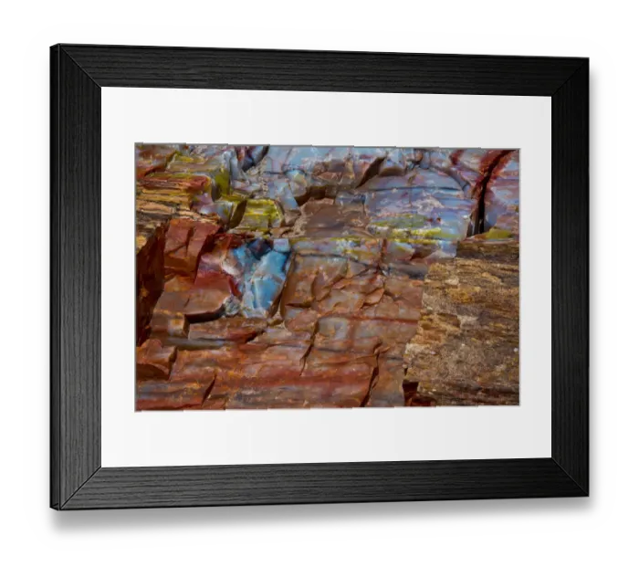 Framed Print : Close-up of petrified wood, Petrified Forest National Park, Holbrook, Arizona, USA Framed Print : Close-up of petrified wood, Petrified Forest National Park, Holbrook, Arizona, USA