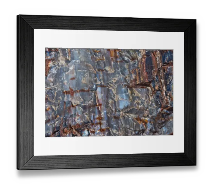 Framed Print : Close-up of petrified wood, Petrified Forest National Park, Holbrook, Arizona, USA Framed Print : Close-up of petrified wood, Petrified Forest National Park, Holbrook, Arizona, USA