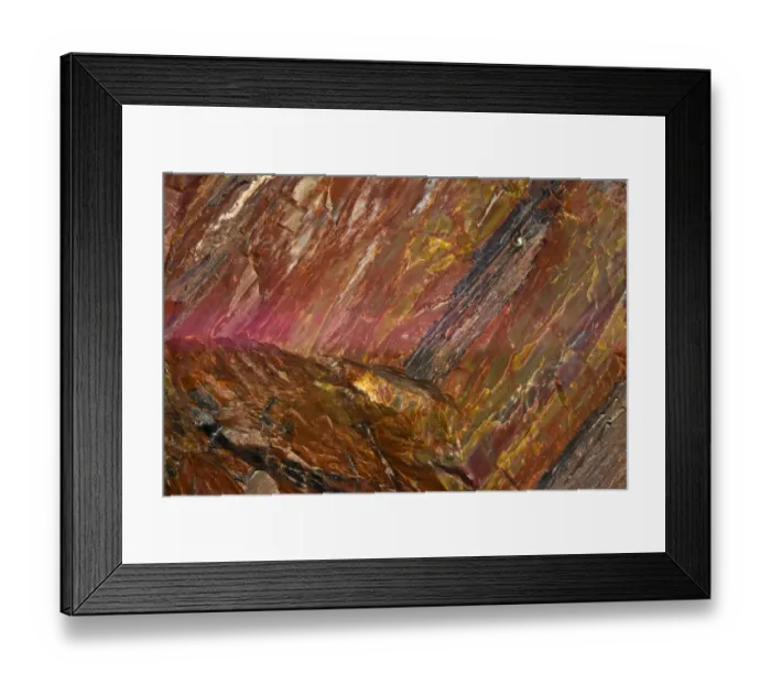 Framed Print : Close-up of petrified wood, Petrified Forest National Park, Holbrook, Arizona, USA Framed Print : Close-up of petrified wood, Petrified Forest National Park, Holbrook, Arizona, USA