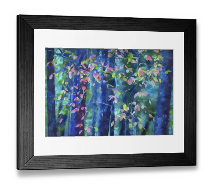 Framed Print : USA, Oregon, Rogue River National Forest. Abstract of Pacific dogwood leaves in autumn Framed Print : USA, Oregon, Rogue River National Forest. Abstract of Pacific dogwood leaves in autumn