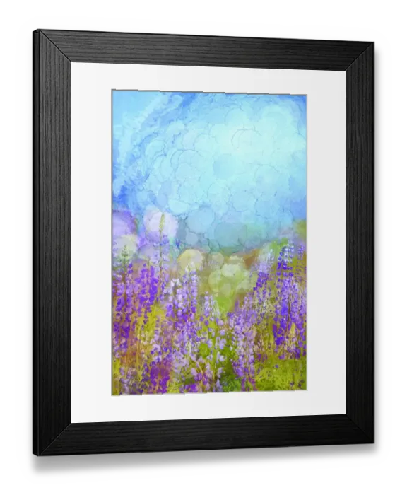 Framed Print : USA, California, Redwood Nationals Park. Wildflowers in the fog along the Bald Hills Road Framed Print : USA, California, Redwood Nationals Park. Wildflowers in the fog along the Bald Hills Road