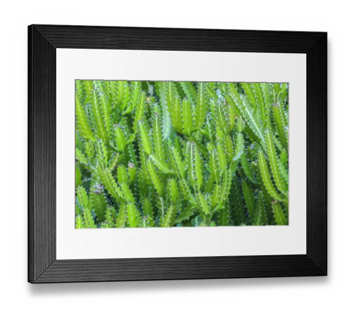 Framed Print : Anaeho omalu Bay, Kohala Coast, Big Island, Hawaii, USA Framed Print : Anaeho omalu Bay, Kohala Coast, Big Island, Hawaii, USA