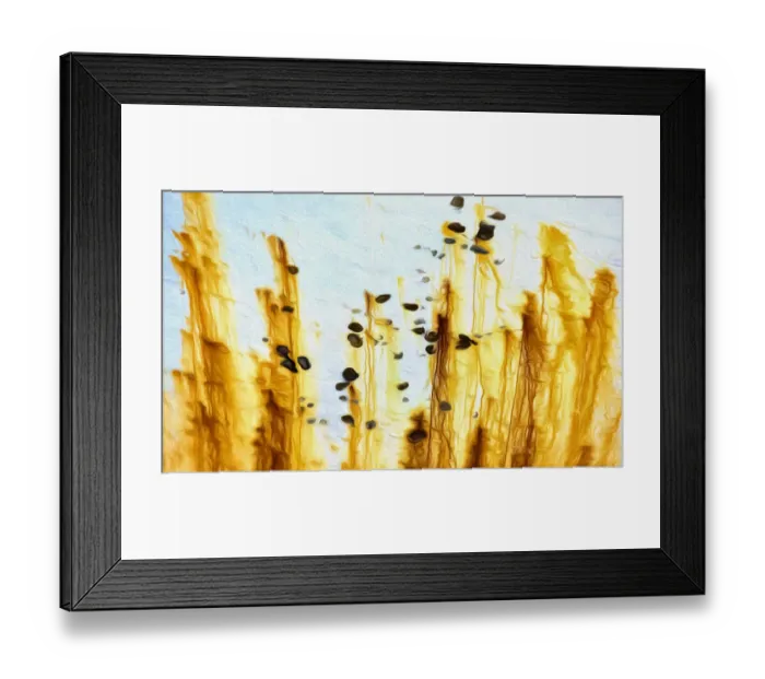 Framed Print : USA, Oregon, Charleston. Abstract of rusted boat side