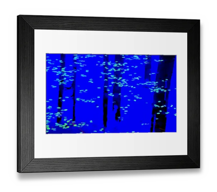 Framed Print : USA, Oregon. Abstract of leaves on pond. Credit as: Jean Carter / Jaynes Gallery / DanitaDelimont Framed Print : USA, Oregon. Abstract of leaves on pond. Credit as: Jean Carter / Jaynes Gallery / DanitaDelimont