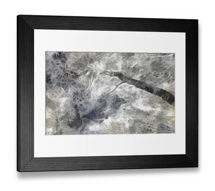 Framed Print : USA, Oregon. Abstract of tree and foliage. Credit as: Jean Carter / Jaynes Gallery / DanitaDelimont Framed Print : USA, Oregon. Abstract of tree and foliage. Credit as: Jean Carter / Jaynes Gallery / DanitaDelimont