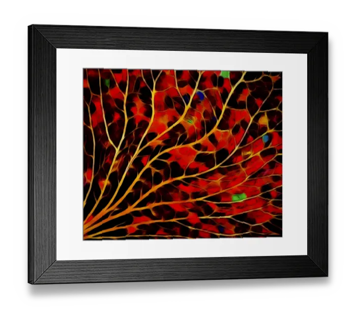 Framed Print : USA, Oregon. Plant abstract. Credit as: Jean Carter / Jaynes Gallery / DanitaDelimont. com Framed Print : USA, Oregon. Plant abstract. Credit as: Jean Carter / Jaynes Gallery / DanitaDelimont. com