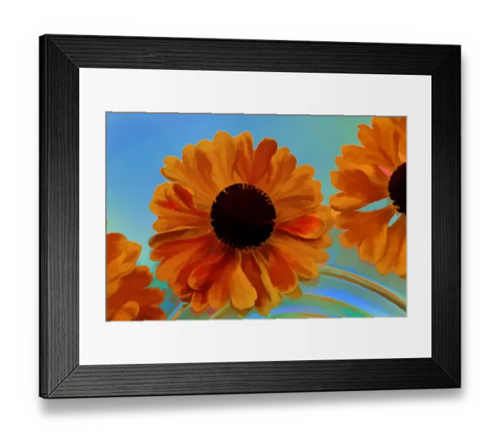 Framed Print : USA, Oregon, Coos Bay. Zinnia flower abstract