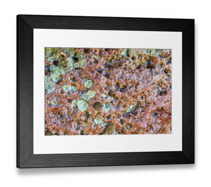 Framed Print : Large, naturally polished rock with lichen. Lower Deschutes River, Central Oregon, USA Framed Print : Large, naturally polished rock with lichen. Lower Deschutes River, Central Oregon, USA