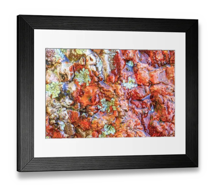 Framed Print : Large, naturally polished rock with lichen. Lower Deschutes River, Central Oregon, USA Framed Print : Large, naturally polished rock with lichen. Lower Deschutes River, Central Oregon, USA