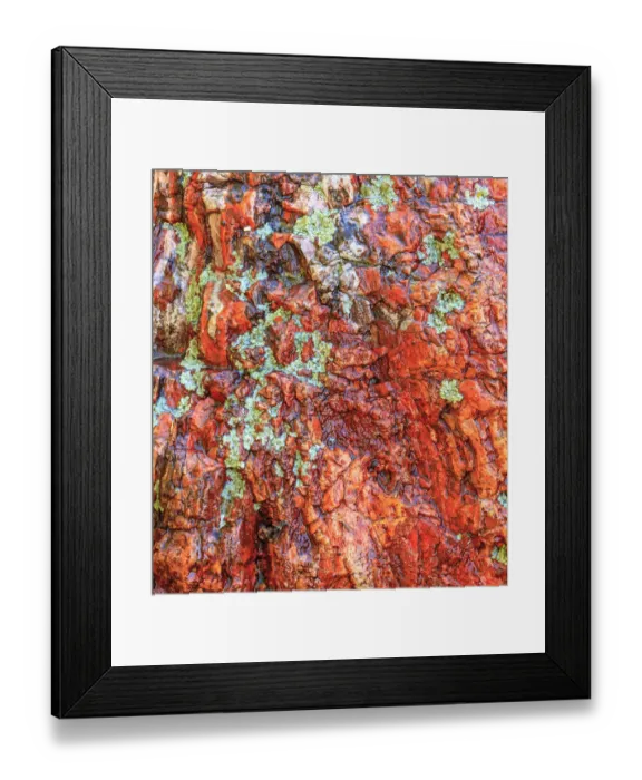 Framed Print : Large, naturally polished rock with lichen. Lower Deschutes River, Central Oregon, USA Framed Print : Large, naturally polished rock with lichen. Lower Deschutes River, Central Oregon, USA
