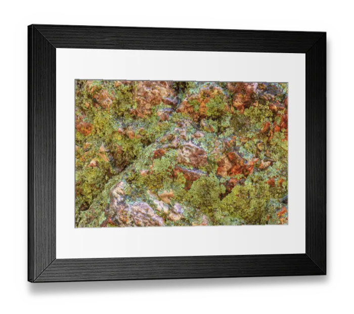 Framed Print : Large, naturally polished rock with lichen. Lower Deschutes River, Central Oregon, USA Framed Print : Large, naturally polished rock with lichen. Lower Deschutes River, Central Oregon, USA