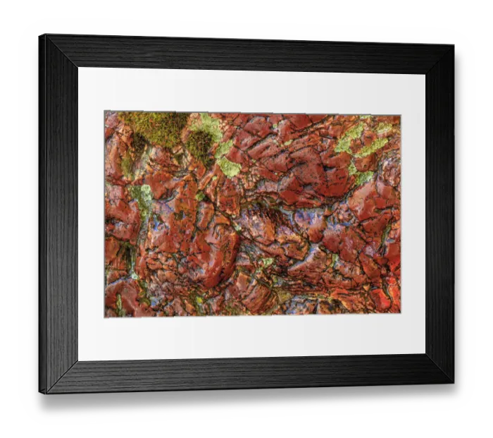 Framed Print : Large, naturally polished rock with lichen. Lower Deschutes River, Central Oregon, USA Framed Print : Large, naturally polished rock with lichen. Lower Deschutes River, Central Oregon, USA