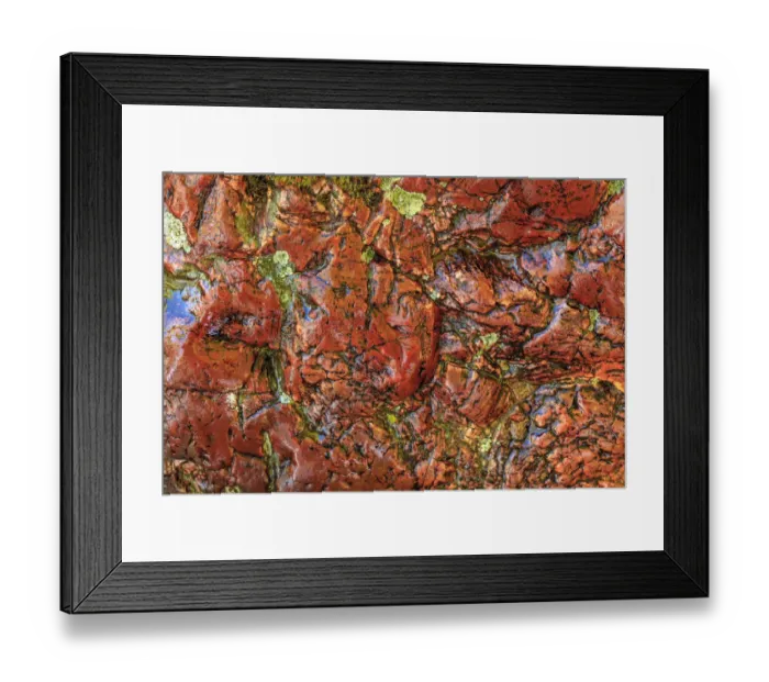 Framed Print : Large, naturally polished rock with lichen. Lower Deschutes River, Central Oregon, USA Framed Print : Large, naturally polished rock with lichen. Lower Deschutes River, Central Oregon, USA