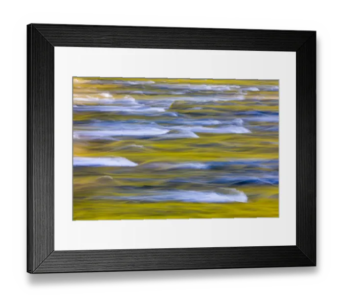 Framed Print : USA, Washington State, Olympic National Park. Golden river reflections from sunlit maple trees Framed Print : USA, Washington State, Olympic National Park. Golden river reflections from sunlit maple trees