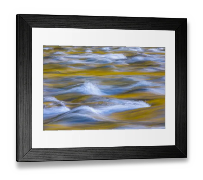Framed Print : USA, Washington State, Olympic National Park. Golden river reflections from sunlit maple trees