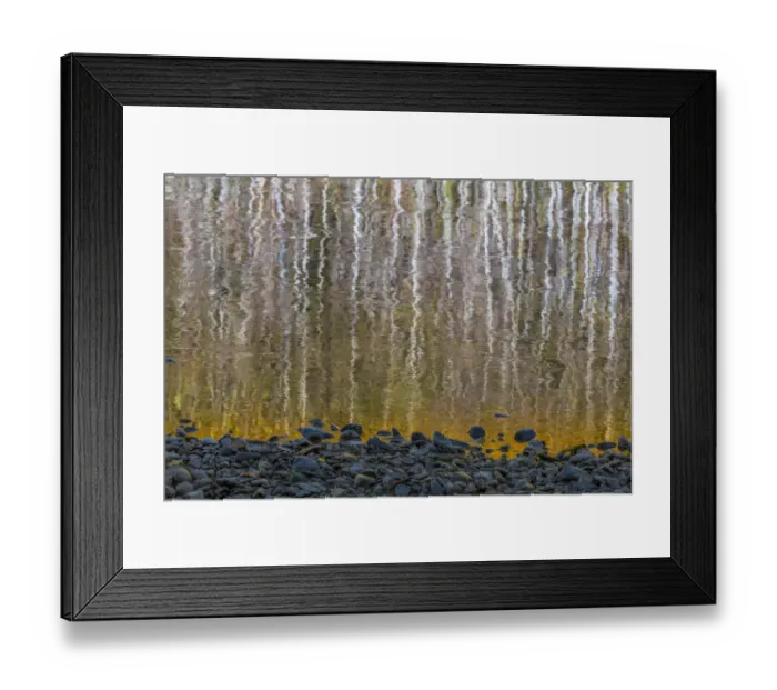 Framed Print : USA, Washington State, Olympic National Park. Abstract reflection of alder trees in Quinault River