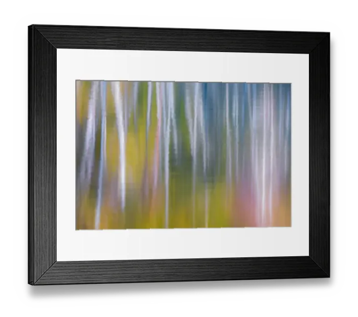 Framed Print : USA, Washington State, Olympic National Park. Abstract reflection of alder trees in Quinault River Framed Print : USA, Washington State, Olympic National Park. Abstract reflection of alder trees in Quinault River