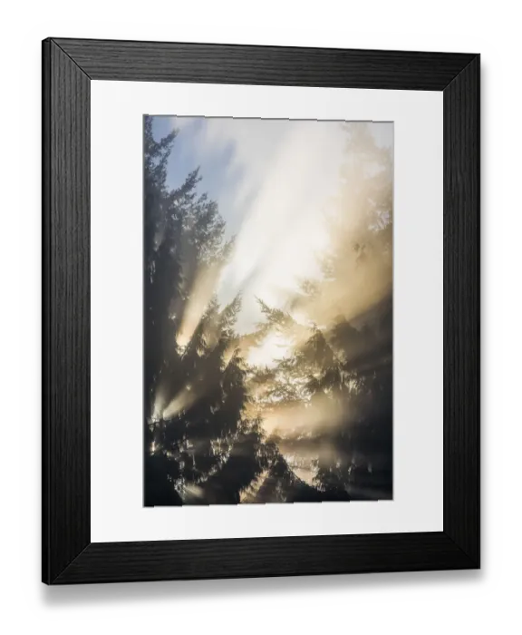 Framed Print : USA, Washington State, Seabeck. Sun breaking through morning fog