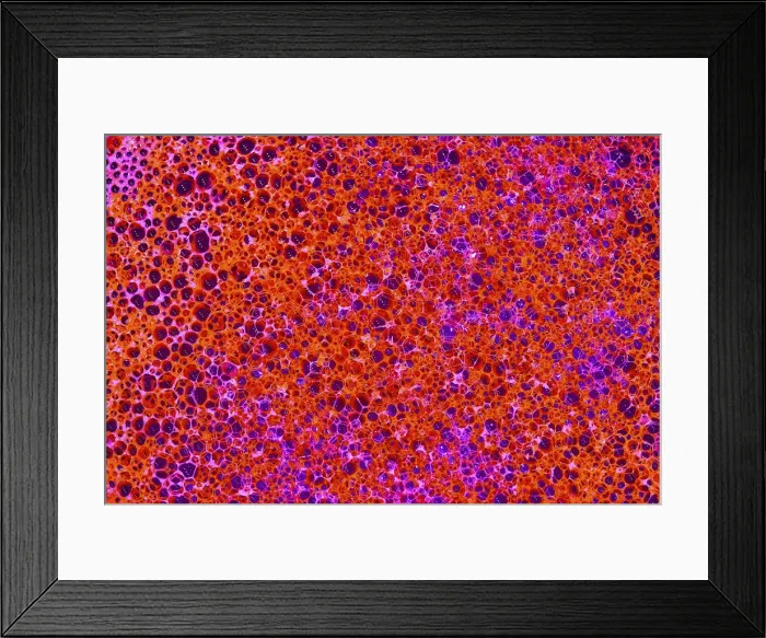 Framed Print : Foamy texture Framed Print : Foamy texture