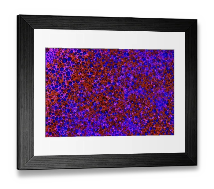 Framed Print : Foamy texture Framed Print : Foamy texture