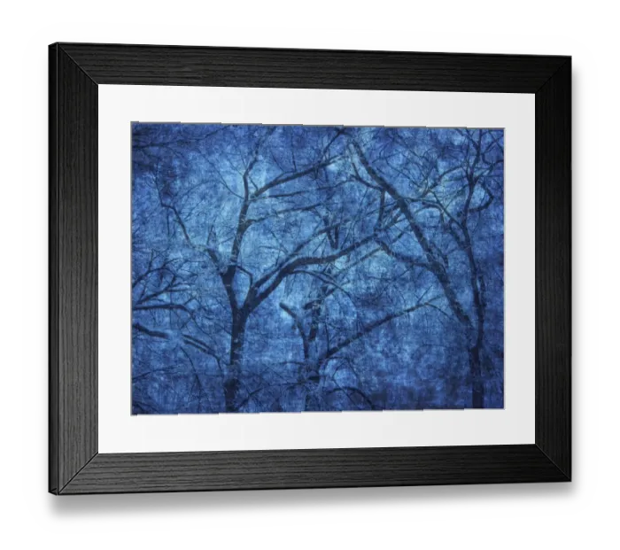 Framed Print : Canada. Blue abstract of trees. Credit as: Mike Grandmaison / Jaynes Gallery / DanitaDelimont Framed Print : Canada. Blue abstract of trees. Credit as: Mike Grandmaison / Jaynes Gallery / DanitaDelimont