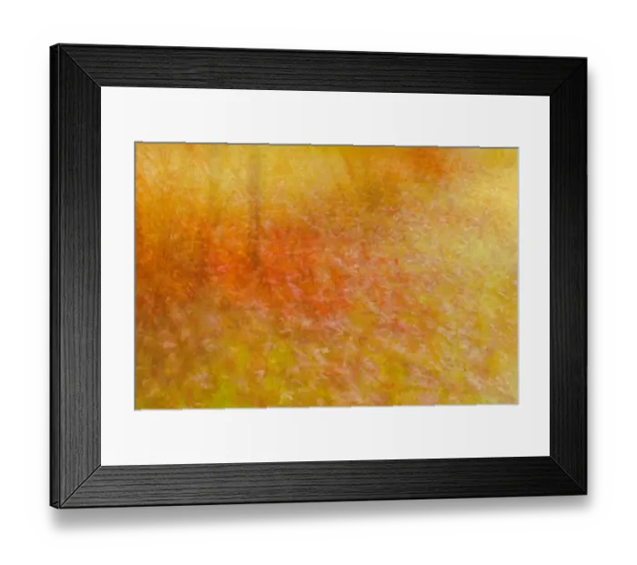Framed Print : Canada, Manitoba, Winnipeg. Impression of autumn colors Framed Print : Canada, Manitoba, Winnipeg. Impression of autumn colors