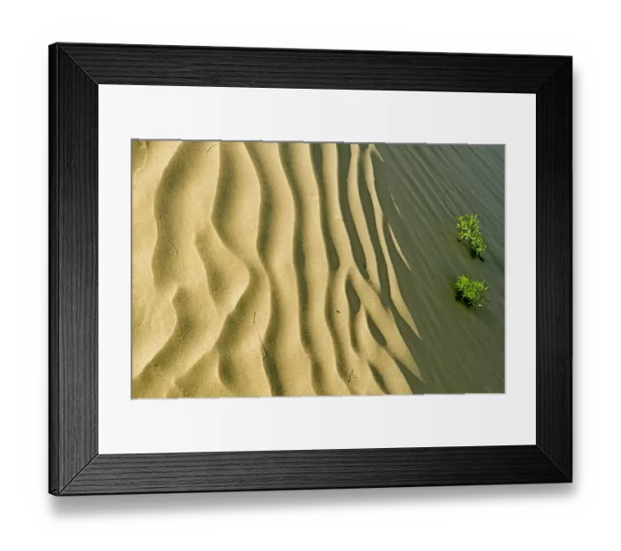 Framed Print : Canada, Saskatchewan, Great Sand Hills. Sand dune ripples and plants Framed Print : Canada, Saskatchewan, Great Sand Hills. Sand dune ripples and plants