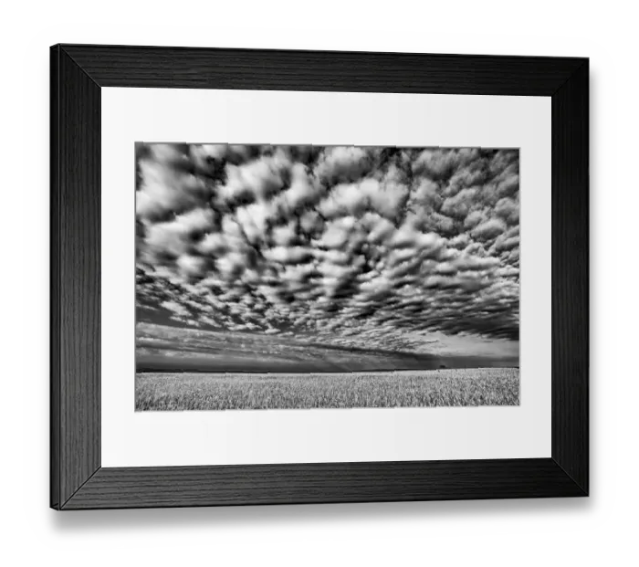 Framed Print : Canada, Manitoba, Holland. Wheat crop and cloud patterns Framed Print : Canada, Manitoba, Holland. Wheat crop and cloud patterns