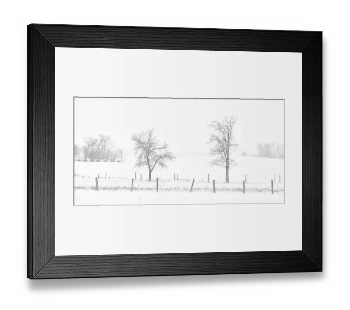 Framed Print : Canada, Saskatchewan, Pelley. Whiteout on a prairie Framed Print : Canada, Saskatchewan, Pelley. Whiteout on a prairie