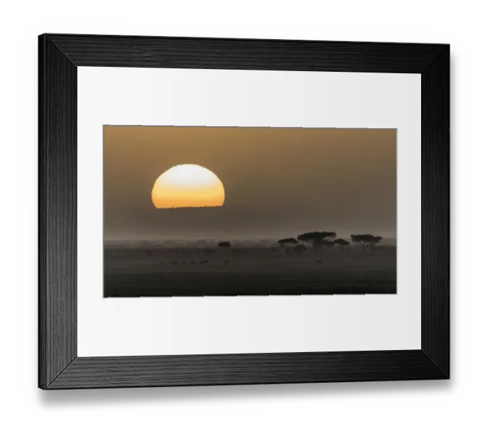 Framed Print : Africa, Tanzania, Ngorongoro Conservation Area. Animals crossing savannah at sunset Framed Print : Africa, Tanzania, Ngorongoro Conservation Area. Animals crossing savannah at sunset