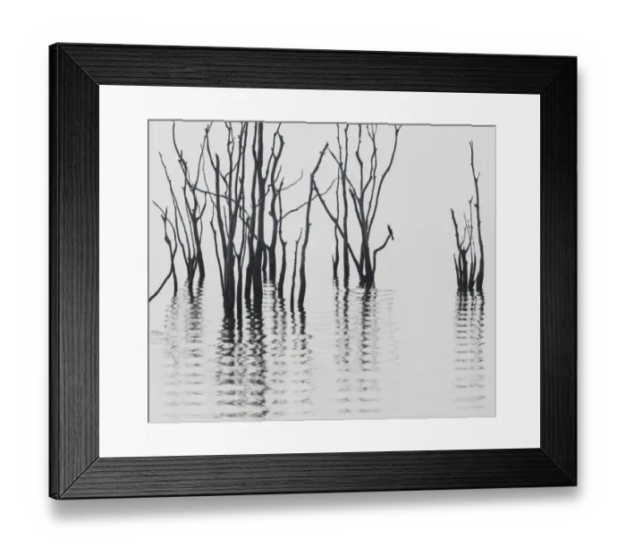 Framed Print : Africa, Zimbabwe, Matusadona National Park. Reflections on Lake Kariba. Credit as Framed Print : Africa, Zimbabwe, Matusadona National Park. Reflections on Lake Kariba. Credit as