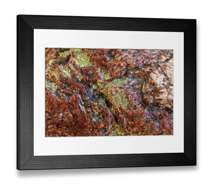 Framed Print : Large naturally polished rock with lichen, Lower Deschutes River, Central Oregon, USA Framed Print : Large naturally polished rock with lichen, Lower Deschutes River, Central Oregon, USA