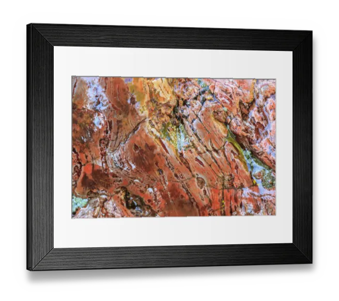 Framed Print : Large naturally polished rock with lichen, Lower Deschutes River, Central Oregon, USA Framed Print : Large naturally polished rock with lichen, Lower Deschutes River, Central Oregon, USA