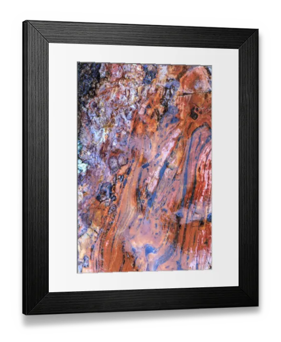 Framed Print : Large naturally polished rock with lichen, Lower Deschutes River, Central Oregon, USA Framed Print : Large naturally polished rock with lichen, Lower Deschutes River, Central Oregon, USA