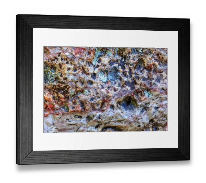 Framed Print : Large naturally polished rock with lichen, Lower Deschutes River, Central Oregon, USA Framed Print : Large naturally polished rock with lichen, Lower Deschutes River, Central Oregon, USA