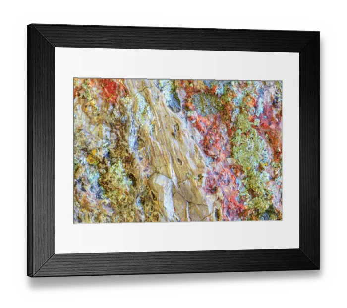 Framed Print : Large naturally polished rock with lichen, Lower Deschutes River, Central Oregon, USA Framed Print : Large naturally polished rock with lichen, Lower Deschutes River, Central Oregon, USA