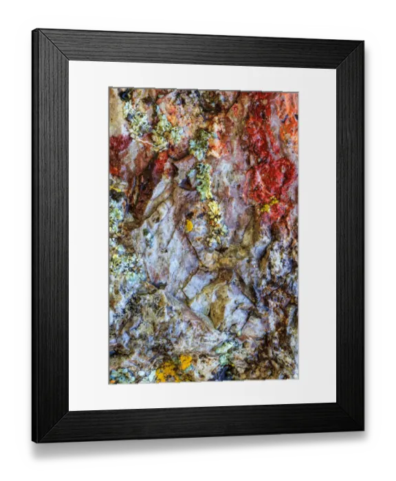 Framed Print : Large naturally polished rock with lichen, Lower Deschutes River, Central Oregon, USA Framed Print : Large naturally polished rock with lichen, Lower Deschutes River, Central Oregon, USA
