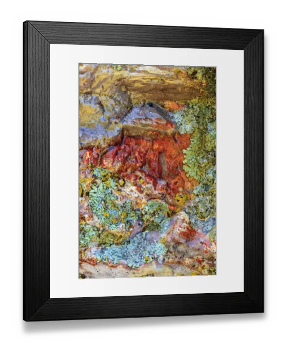 Framed Print : Large naturally polished rock with lichen, Lower Deschutes River, Central Oregon, USA Framed Print : Large naturally polished rock with lichen, Lower Deschutes River, Central Oregon, USA