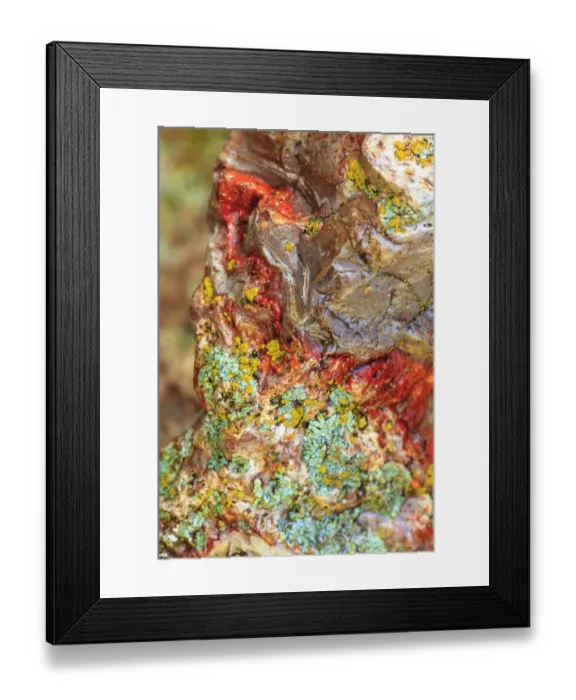 Framed Print : Large naturally polished rock with lichen, Lower Deschutes River, Central Oregon, USA Framed Print : Large naturally polished rock with lichen, Lower Deschutes River, Central Oregon, USA
