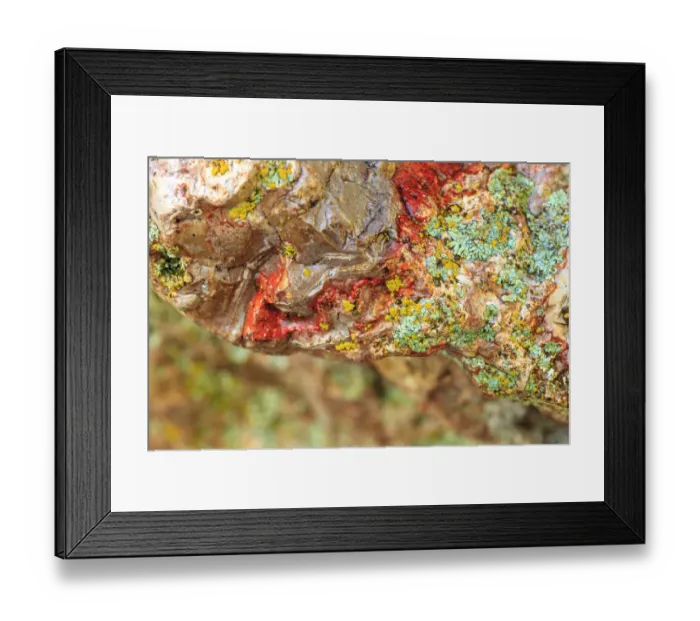 Framed Print : Large naturally polished rock with lichen, Lower Deschutes River, Central Oregon, USA Framed Print : Large naturally polished rock with lichen, Lower Deschutes River, Central Oregon, USA