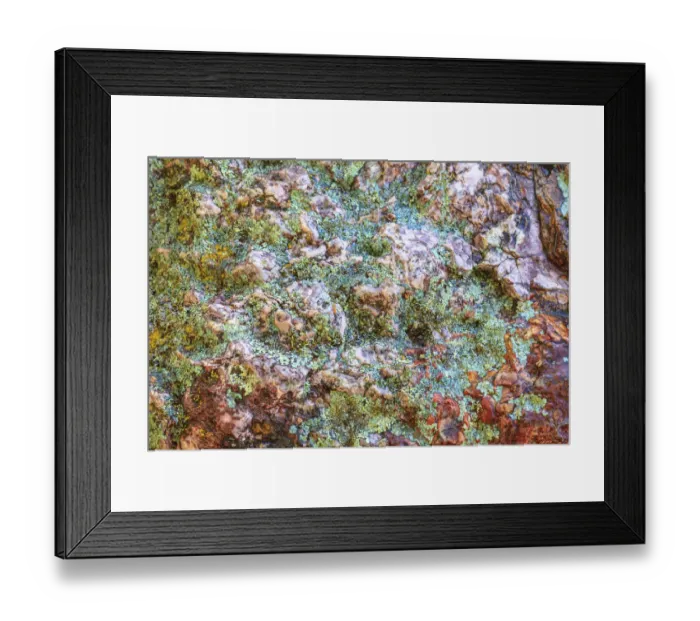 Framed Print : Large naturally polished rock with lichen, Lower Deschutes River, Central Oregon, USA Framed Print : Large naturally polished rock with lichen, Lower Deschutes River, Central Oregon, USA