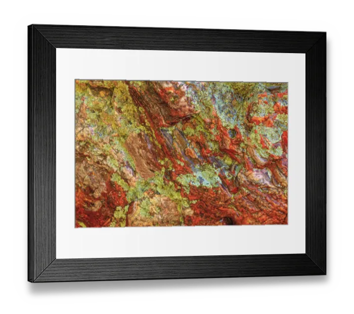 Framed Print : Large naturally polished rock with lichen, Lower Deschutes River, Central Oregon, USA Framed Print : Large naturally polished rock with lichen, Lower Deschutes River, Central Oregon, USA