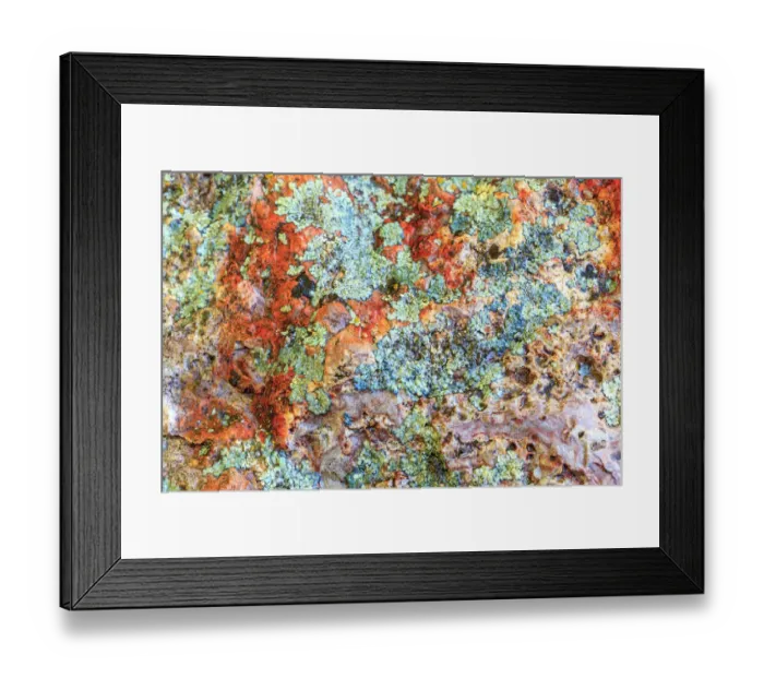 Framed Print : Large, naturally polished rock with lichen. Lower Deschutes River, Central Oregon, USA Framed Print : Large, naturally polished rock with lichen. Lower Deschutes River, Central Oregon, USA