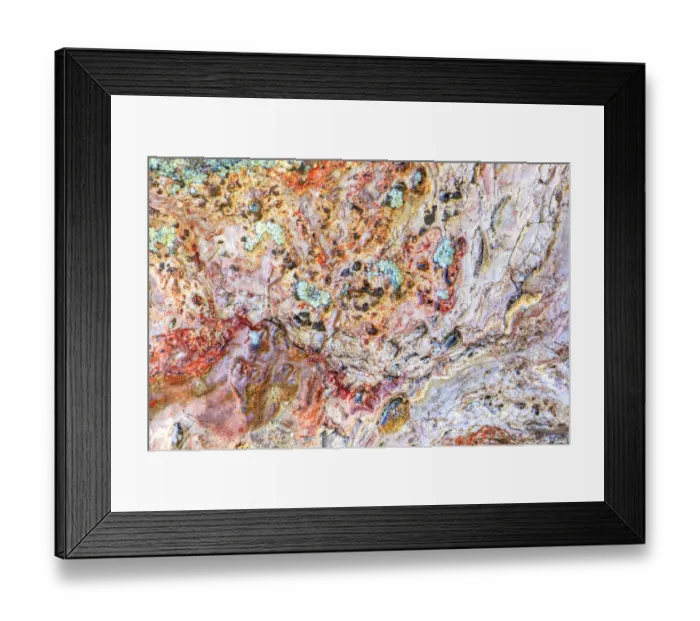 Framed Print : Large, naturally polished rock with lichen. Lower Deschutes River, Central Oregon, USA Framed Print : Large, naturally polished rock with lichen. Lower Deschutes River, Central Oregon, USA