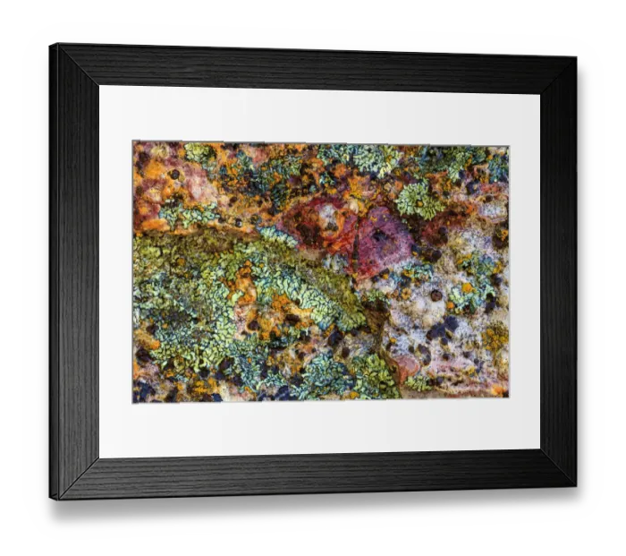 Framed Print : Large, naturally polished rock with lichen. Lower Deschutes River, Central Oregon, USA Framed Print : Large, naturally polished rock with lichen. Lower Deschutes River, Central Oregon, USA