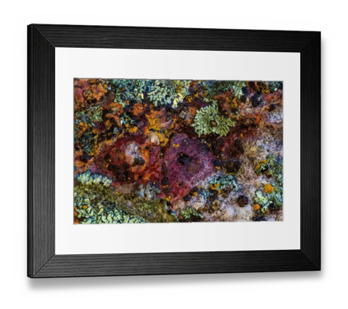 Framed Print : Large, naturally polished rock with lichen. Lower Deschutes River, Central Oregon, USA