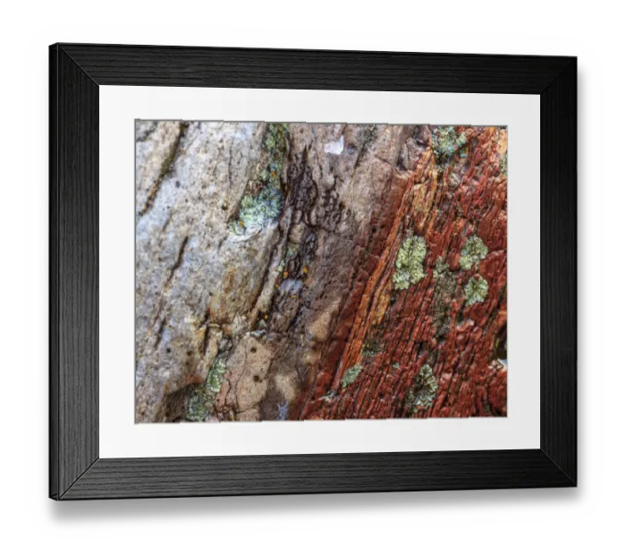 Framed Print : Large, naturally polished rock with lichen. Lower Deschutes River, Central Oregon, USA