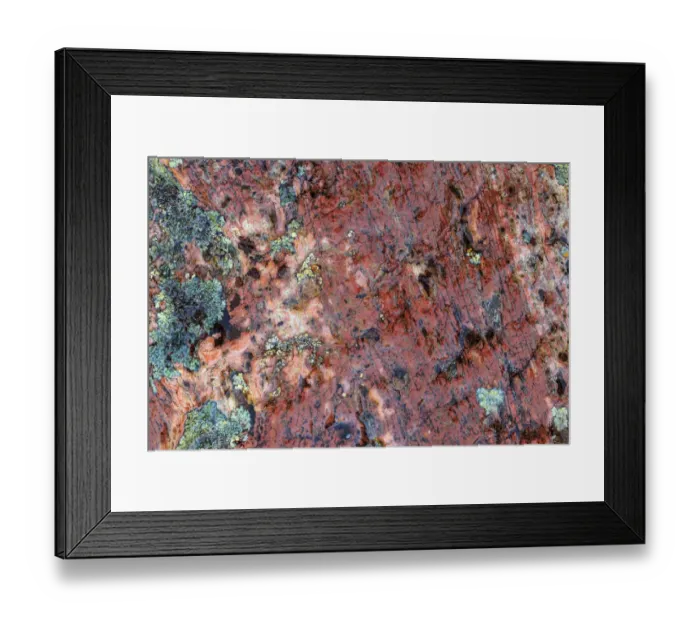 Framed Print : Large, naturally polished rock with lichen. Lower Deschutes River, Central Oregon, USA Framed Print : Large, naturally polished rock with lichen. Lower Deschutes River, Central Oregon, USA